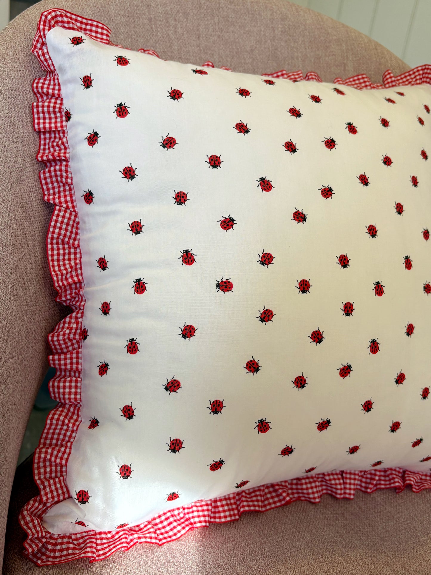 Red and White Ladybug and Gingham Ruffle Cushion