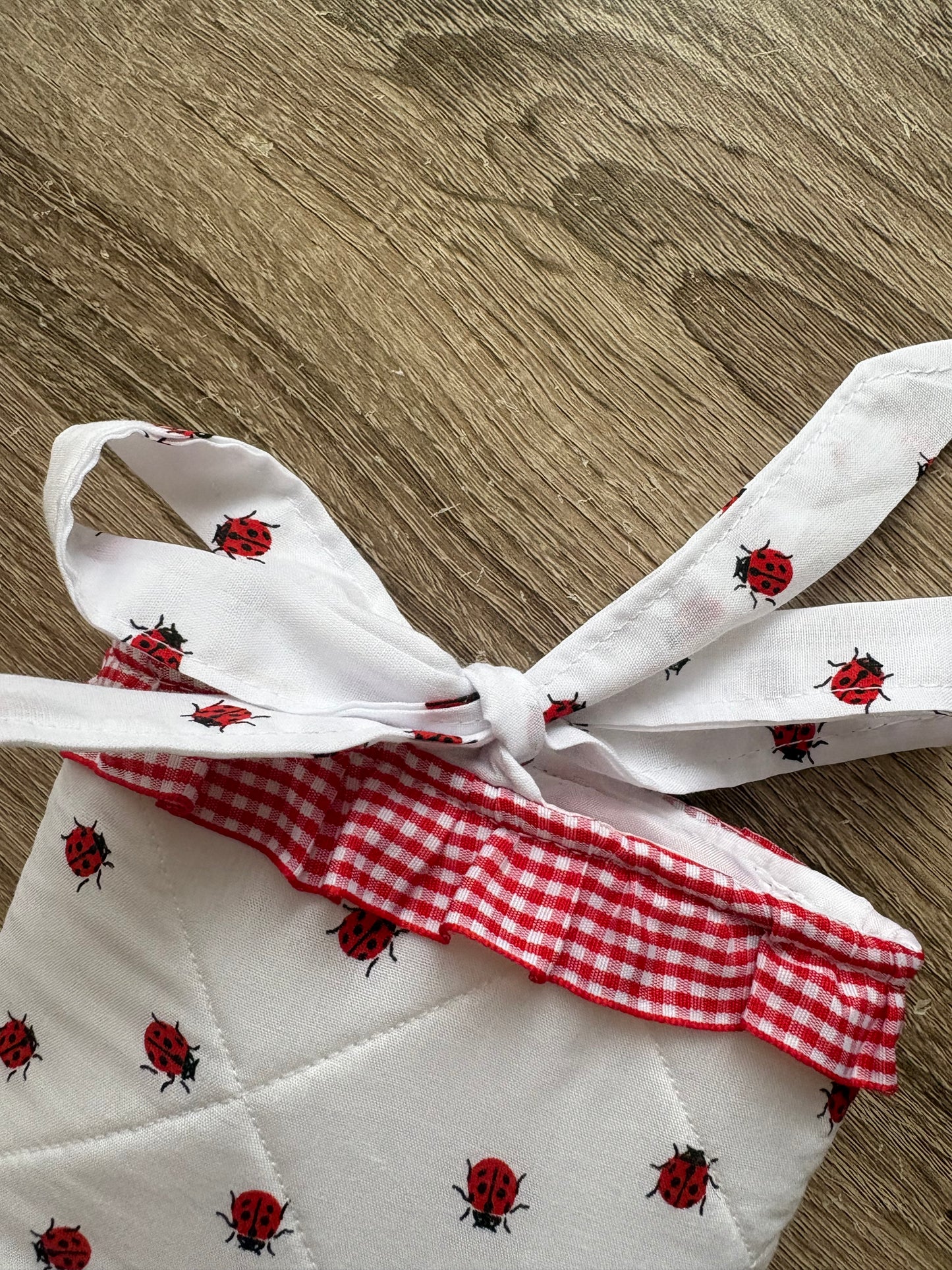 Red and white ladybug quilted kindle sleeve with red gingham frill