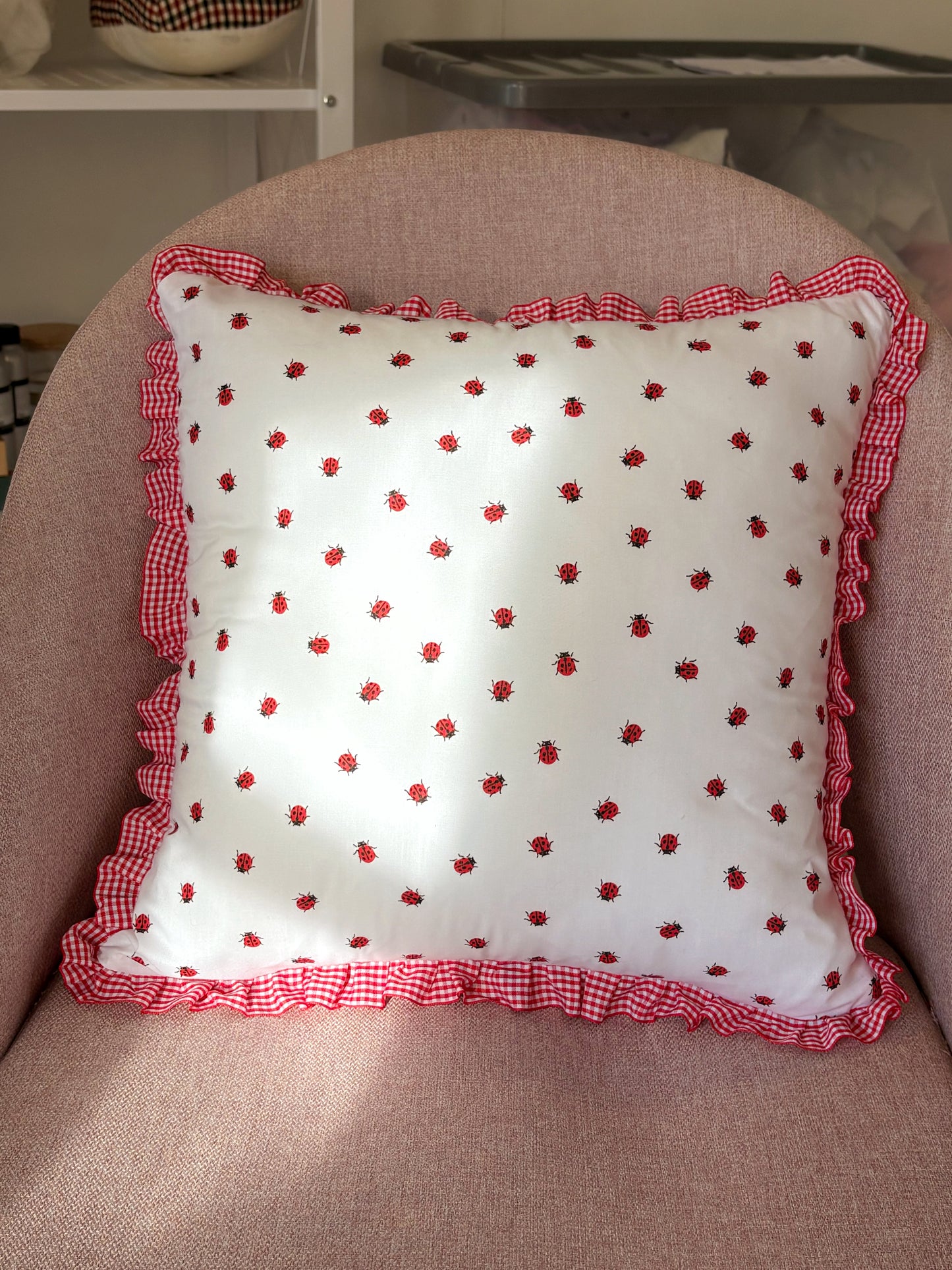 Red and White Ladybug and Gingham Ruffle Cushion